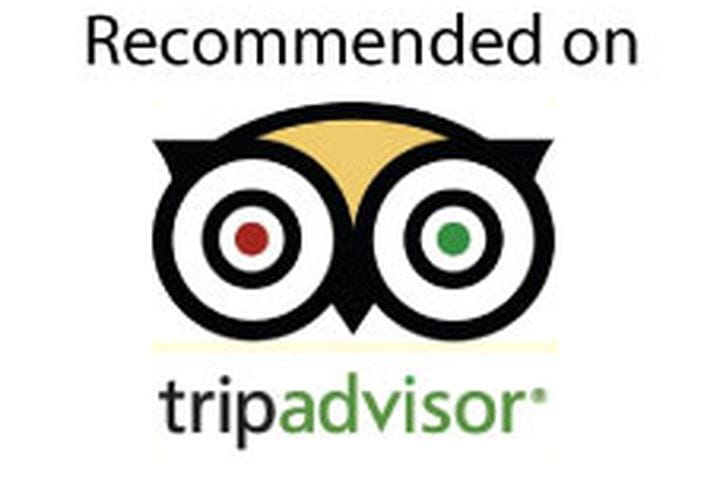tripadvisor2