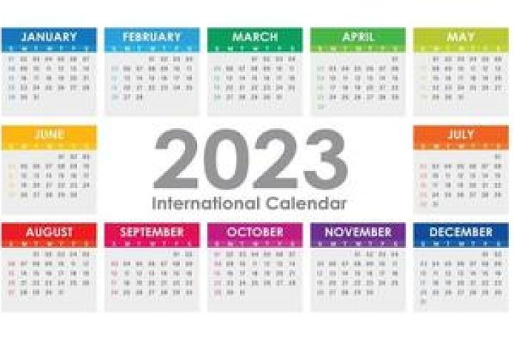 2023-calendar-year-illustration-the-week-starts-on-sunday-color-vector